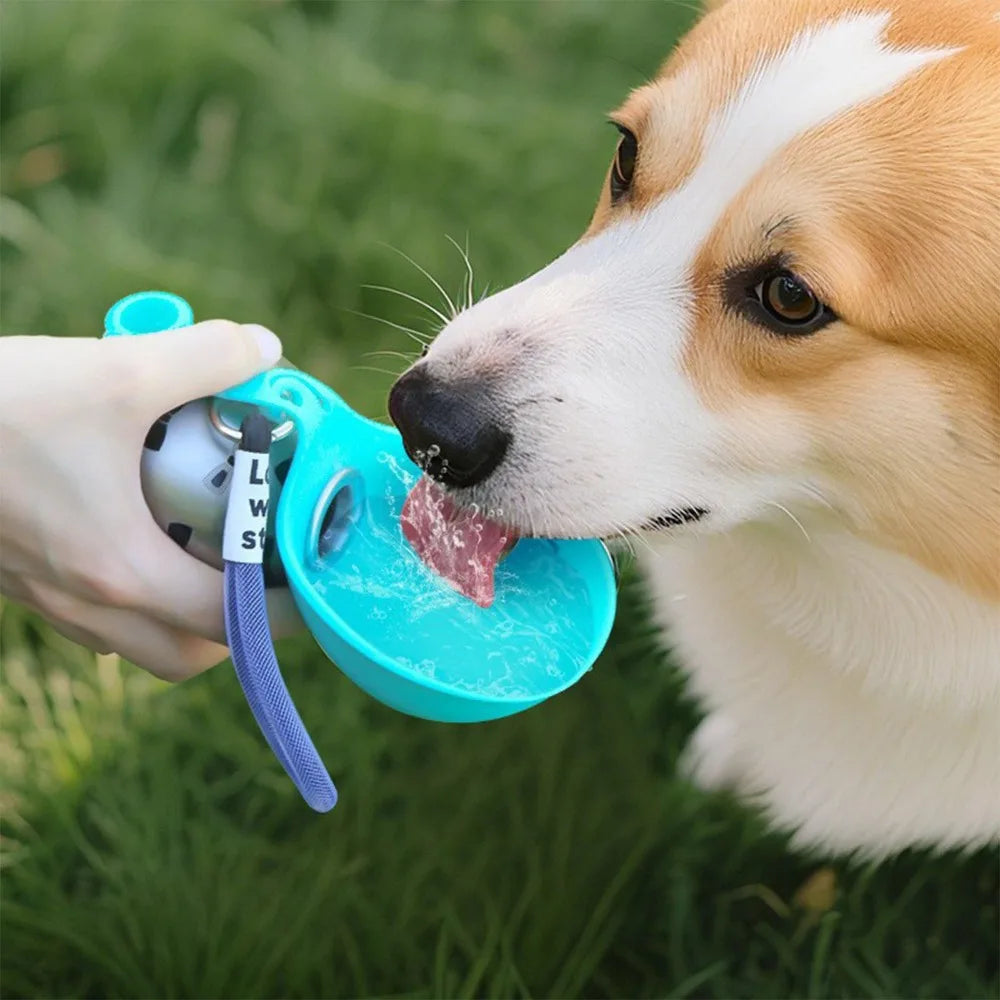 Portable Pet Hydration Solution